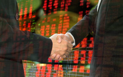 The Advantages of Using a Professional Trustee for Asset Protection